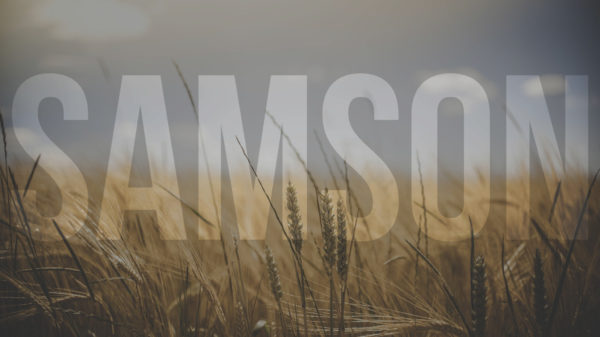 Samson - Last Stand Image
